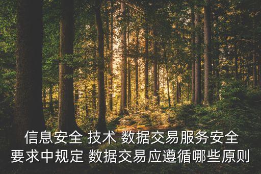  信息安全 技術(shù) 數(shù)據(jù)交易服務(wù)安全要求中規(guī)定 數(shù)據(jù)交易應(yīng)遵循哪些原則