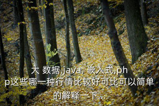 大 數(shù)據(jù),java, 嵌入式,php這些哪一種行情比較好可比可以簡(jiǎn)單的解釋一下...