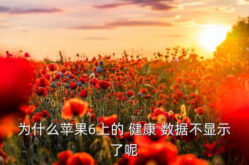 為什么蘋果6上的 健康 數(shù)據(jù)不顯示了呢