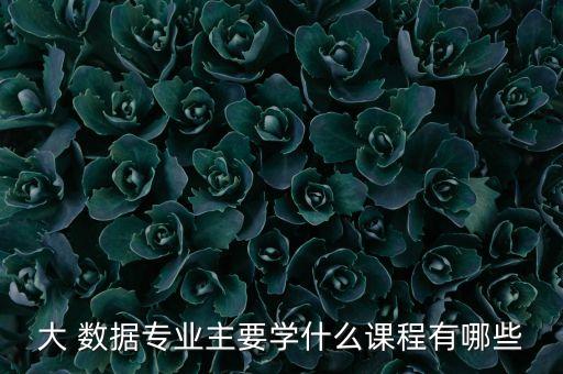 大 數(shù)據(jù)專業(yè)主要學(xué)什么課程有哪些