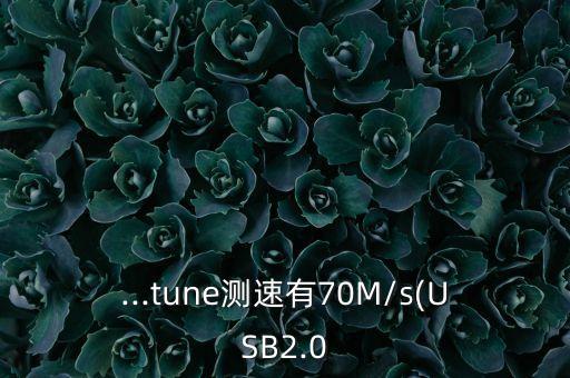 ...tune測速有70M/s(USB2.0