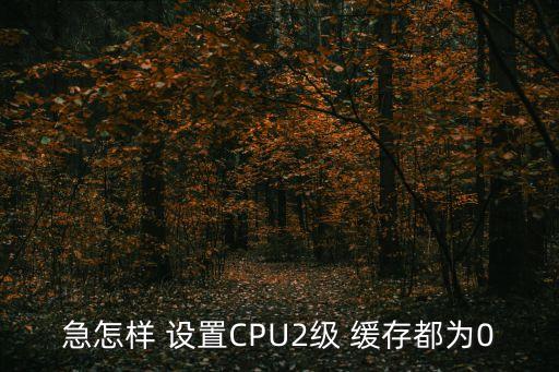 急怎樣 設(shè)置CPU2級 緩存都為0