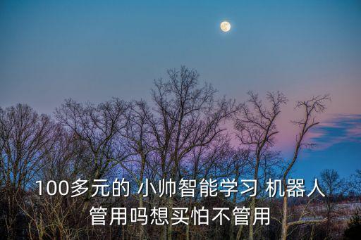 100多元的 小帥智能學(xué)習(xí) 機器人管用嗎想買怕不管用