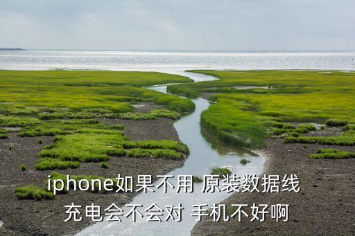 iphone如果不用 原裝數(shù)據(jù)線 充電會不會對 手機不好啊