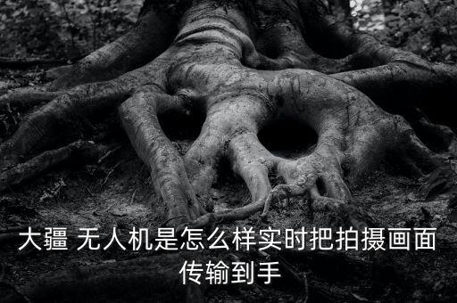 無人機與vr數(shù)據(jù)傳輸,大疆無人機mini3pro數(shù)據(jù)傳輸