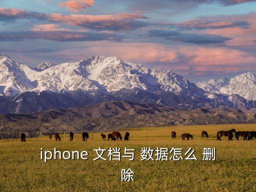 iphone 文檔與 數(shù)據(jù)怎么 刪除