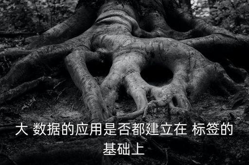 大數(shù)據(jù)標(biāo)簽標(biāo)注,AI大數(shù)據(jù)標(biāo)注