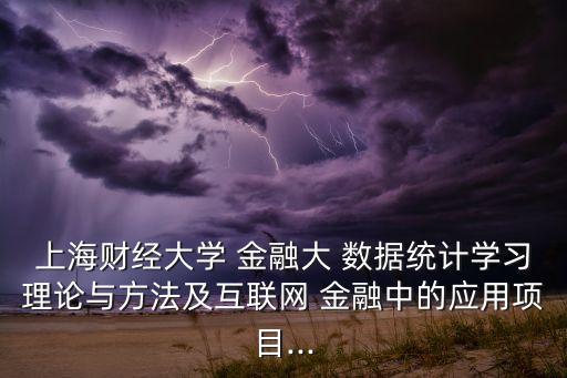 上海財經(jīng)大學 金融大 數(shù)據(jù)統(tǒng)計學習理論與方法及互聯(lián)網(wǎng) 金融中的應(yīng)用項目...