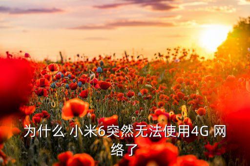 小米6關閉數(shù)據(jù)連接網絡設置,小米數(shù)據(jù)打開了為什么還是無法連接網絡