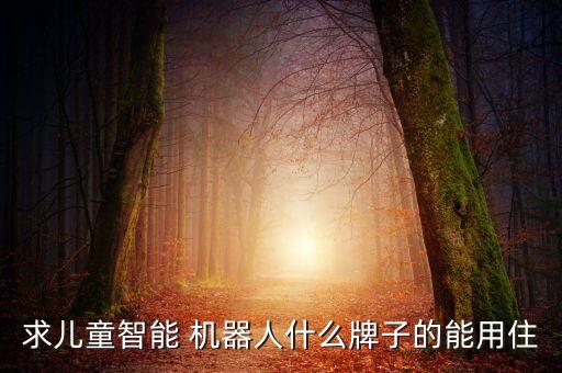 求兒童智能 機器人什么牌子的能用住