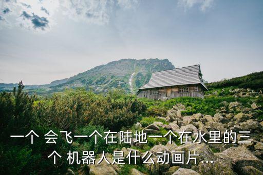 一個(gè) 會(huì)飛一個(gè)在陸地一個(gè)在水里的三個(gè) 機(jī)器人是什么動(dòng)畫片...
