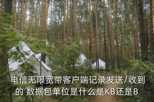  電信無限寬帶客戶端記錄發(fā)送/收到的 數(shù)據(jù)包單位是什么是KB還是B