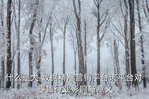 什么是大 數(shù)據(jù)精準(zhǔn)營(yíng)銷平臺(tái)該平臺(tái)對(duì) 零售行業(yè)影響與意義