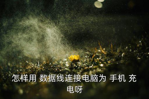 怎樣用 數(shù)據(jù)線連接電腦為 手機 充電呀