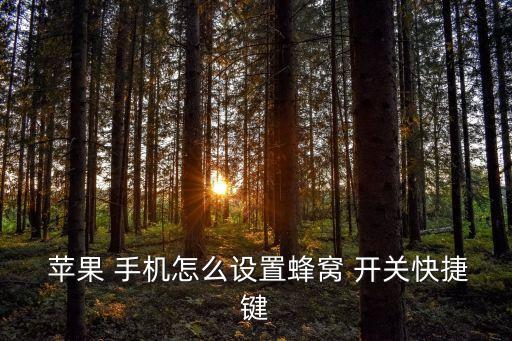  蘋果 手機(jī)怎么設(shè)置蜂窩 開(kāi)關(guān)快捷鍵