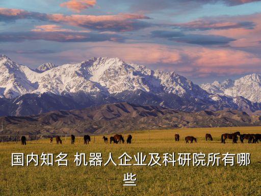 國內(nèi)知名 機(jī)器人企業(yè)及科研院所有哪些