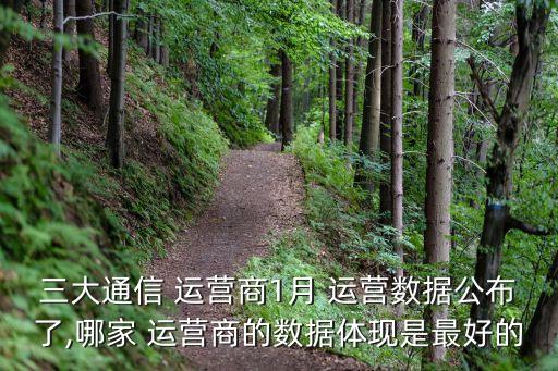 中國移動主要運營數據分析,鄭州 中國移動 數據分析