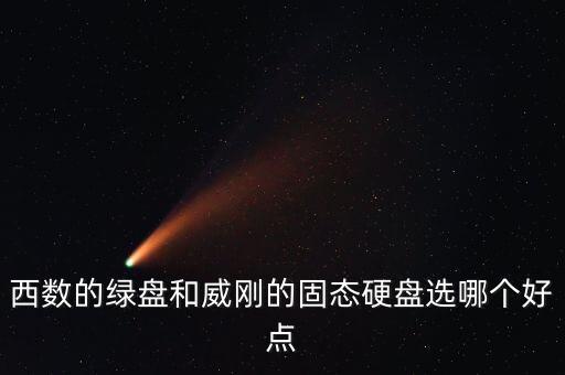 數(shù)據(jù)black評測,假面騎士BLACK數(shù)據(jù)