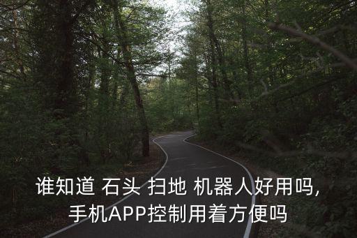 石頭掃地機器人規(guī)劃