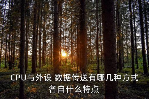 CPU與外設 數(shù)據(jù)傳送有哪幾種方式各自什么特點