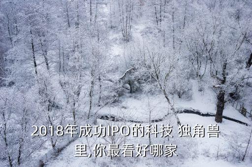 2018年成功IPO的科技 獨(dú)角獸里,你最看好哪家