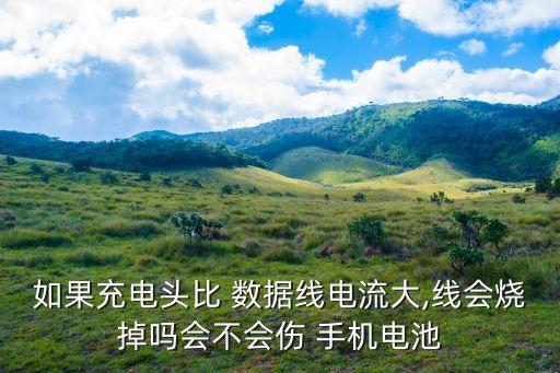 如果充電頭比 數(shù)據(jù)線電流大,線會燒掉嗎會不會傷 手機(jī)電池