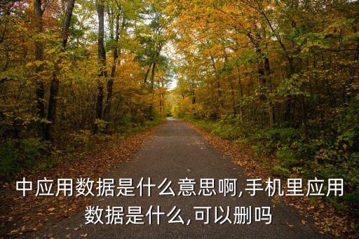 中應用數(shù)據(jù)是什么意思啊,手機里應用數(shù)據(jù)是什么,可以刪嗎