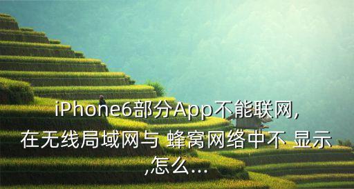 iPhone6部分App不能聯(lián)網(wǎng),在無線局域網(wǎng)與 蜂窩網(wǎng)絡(luò)中不 顯示,怎么...