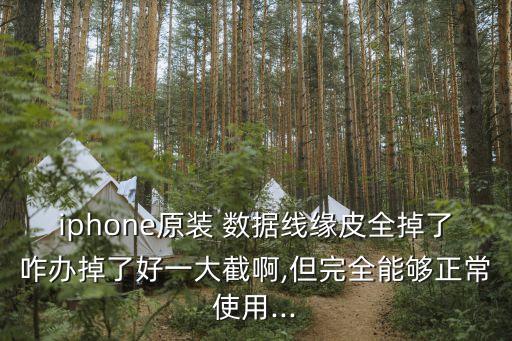 蘋果數(shù)據(jù)線掉皮