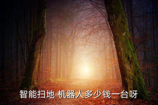 智能掃地 機(jī)器人多少錢一臺呀