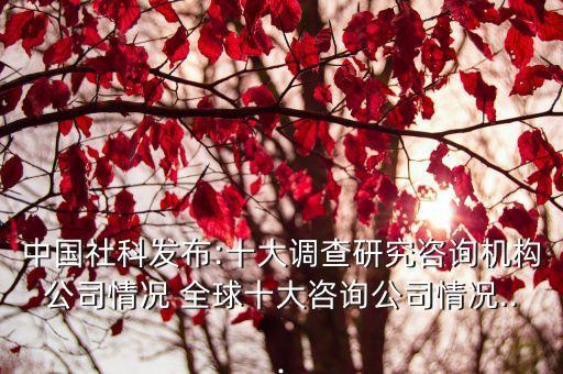 中國社科發(fā)布:十大調(diào)查研究咨詢機(jī)構(gòu)公司情況 全球十大咨詢公司情況...