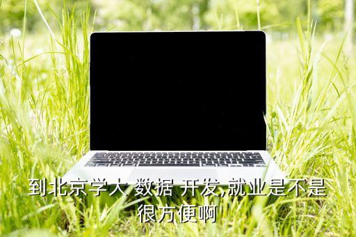 大數(shù)據(jù)開發(fā) 還火