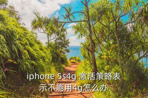 5s 未能激活蜂窩移動數(shù)據(jù)網(wǎng),蘋果11未能激活蜂窩移動數(shù)據(jù)網(wǎng)