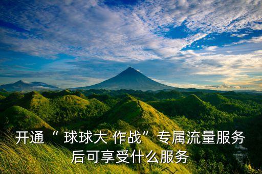 球球大作戰(zhàn)運營數(shù)據(jù)