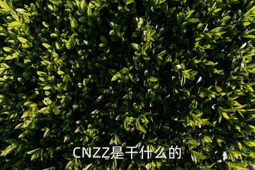 CNZZ是干什么的