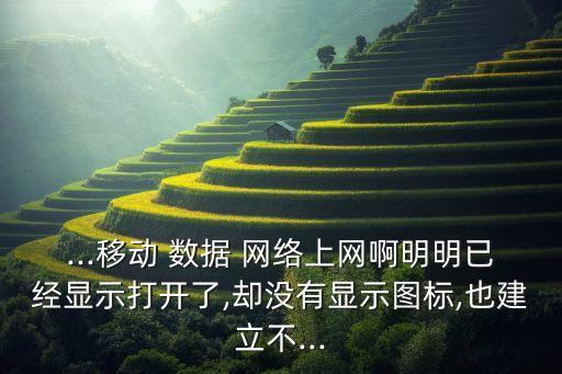 華為開了數(shù)據(jù)卻沒有網(wǎng)絡(luò)是怎么回事啊