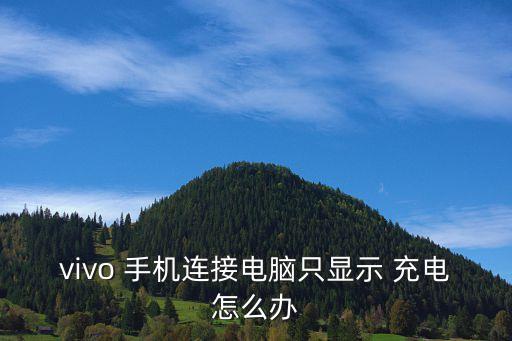 手機數(shù)據(jù)線只能充電了,為什么手機數(shù)據(jù)線連接電腦只能充電
