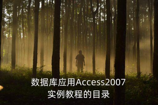  數(shù)據(jù)庫應(yīng)用Access2007 實(shí)例教程的目錄