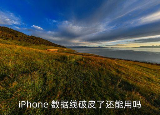 蘋果數(shù)據(jù)線外皮開裂,數(shù)據(jù)線外皮開裂用繩子小妙招