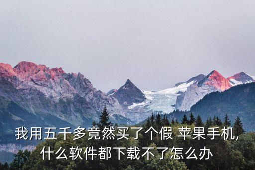 高防蘋果清除數(shù)據(jù),蘋果系統(tǒng)數(shù)據(jù)20多g怎么清除