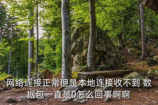 網(wǎng)絡(luò)連接正常但是本地連接收不到 數(shù)據(jù)包一直是0怎么回事啊啊