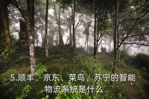 5.順豐、京東、菜鳥(niǎo)、蘇寧的智能 物流系統(tǒng)是什么