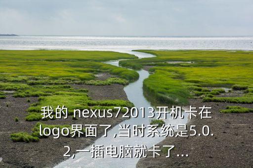 我的 nexus72013開機卡在logo界面了,當時系統(tǒng)是5.0.2,一插電腦就卡了...