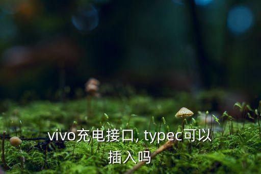 type c數(shù)據(jù)線的手機,蘋果手機帶數(shù)據(jù)線嗎