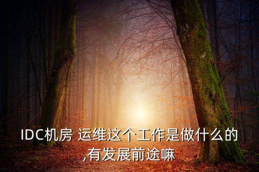 數(shù)據(jù)中心運(yùn)維服務(wù)工資