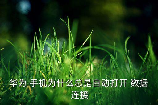 華為 手機為什么總是自動打開 數(shù)據(jù) 連接