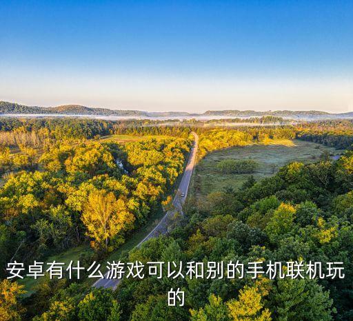 口袋傳奇數(shù)據(jù)包有多大