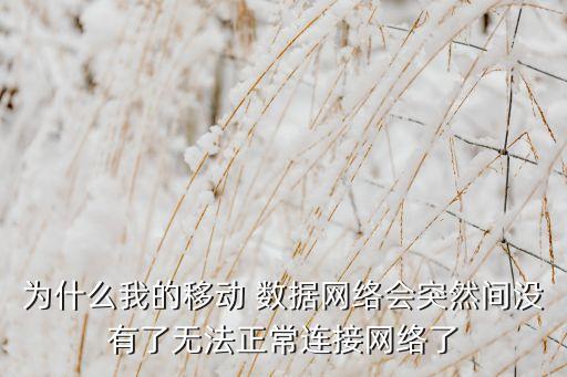 為什么手機數(shù)據(jù)不顯示出來怎么回事啊