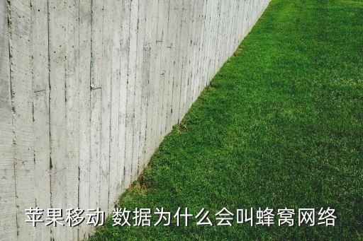 蘋(píng)果移動(dòng) 數(shù)據(jù)為什么會(huì)叫蜂窩網(wǎng)絡(luò)