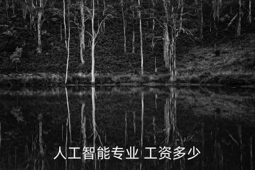 人工智能專(zhuān)業(yè) 工資多少